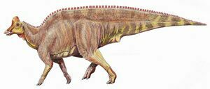 Reconstruction of the Hadrosaur Lambeosaurus.  By Dmitry Bogdanov